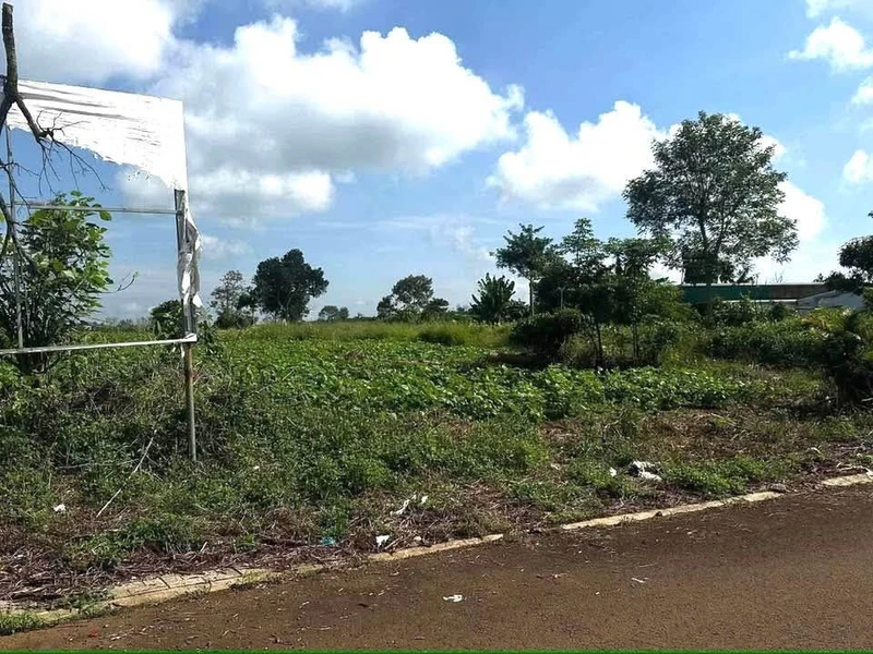 Bán lô đất 1000m2 Bảo Lâm Lâm Đồng 800 triệu