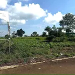 Bán lô đất 1000m2 Bảo Lâm Lâm Đồng 800 triệu - Ảnh thu nhỏ 1
