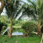 Bán đất vườn 1000m² tại Đồng Nai, gần KCN Becamex - Ảnh thu nhỏ 2