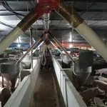 Bán trại heo 13.584 m² tại Tây Ninh, 11 tỷ - Ảnh thu nhỏ 1