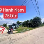Bán nền đất 115m² Mỹ Hạnh, Bình Dương 750 triệu - Ảnh thu nhỏ 1