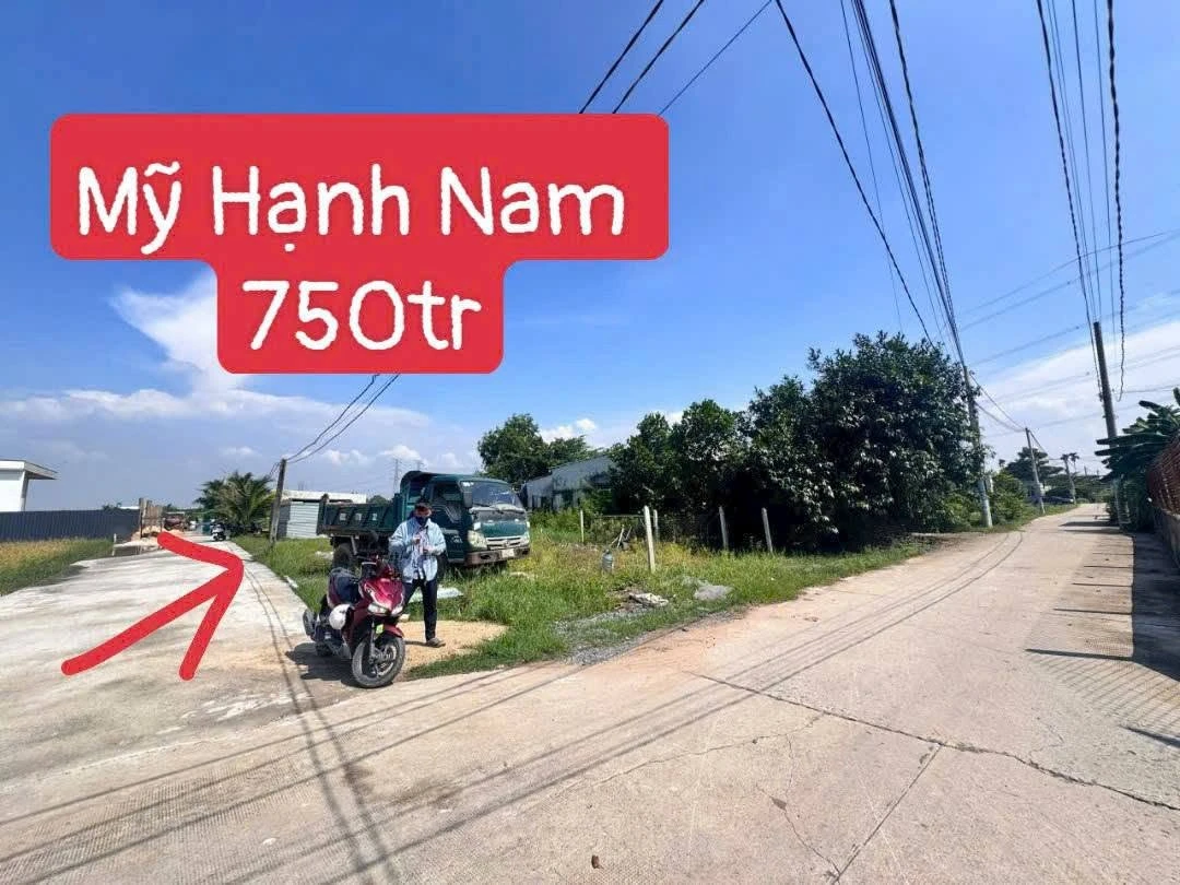 Bán nền đất 115m² Mỹ Hạnh, Bình Dương 750 triệu - Ảnh 1