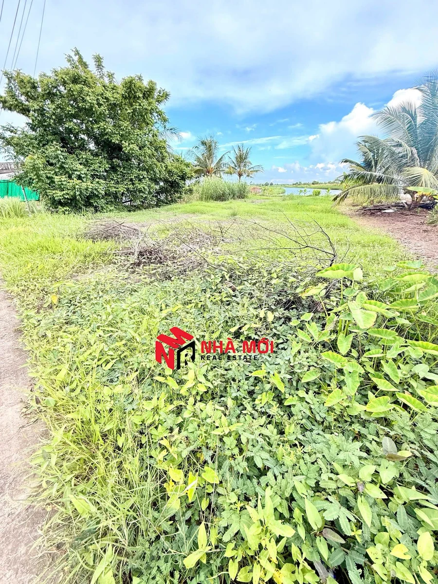 Bán đất vườn 330m² view kênh Bạch Ngưu, lộ ô tô - Ảnh thu nhỏ 3