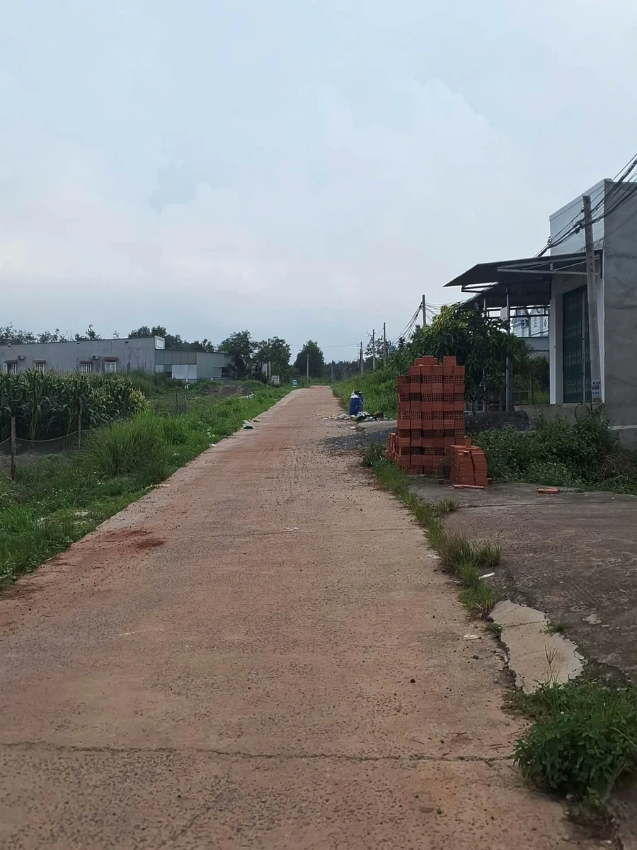 Bán đất mặt tiền 6×13m (78m²) 290 triệu Bình Chánh - Ảnh 1