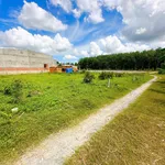 Đất phường Gò Dầu 5x27m full thổ cư 470tr, sổ hồng riêng đường ô tô thông - Ảnh thu nhỏ 1