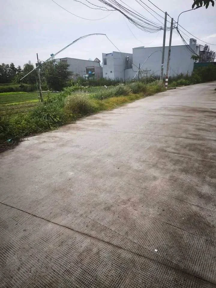 Bán lô đất thổ 3000m2 mặt tiền Lê Thị Ty, Tây Ninh - Ảnh thu nhỏ 2