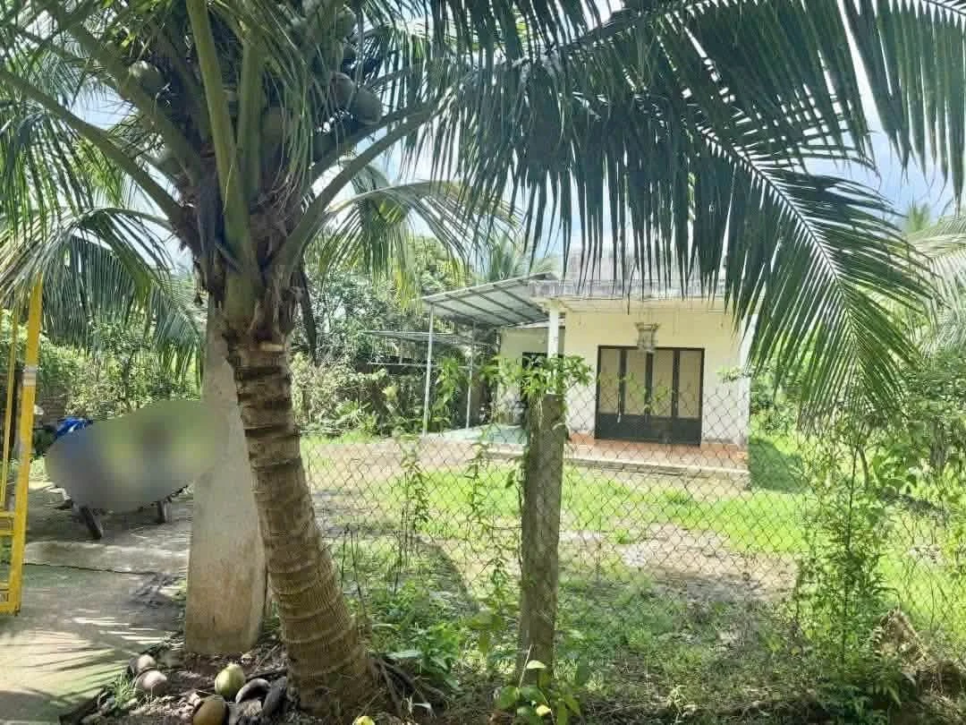 Bán nhà và đất 1000m2 tại Tân Thạch Bến Tre 750 triệu - Ảnh thu nhỏ 3