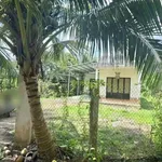 Bán nhà và đất 1000m2 tại Tân Thạch Bến Tre 750 triệu - Ảnh thu nhỏ 3