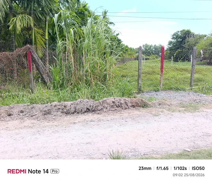 Bán đất Phường An Tịnh, Trảng Bàng, 50m², 590 triệu