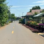 Bán đất mặt tiền 722m2 Cách Mạng Tháng Tám, Đất Đỏ, Bà Rịa - Vũng Tàu - Ảnh thu nhỏ 3