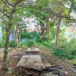 Bán đất mặt tiền Nguyễn Văn Chánh 500m² Tân An, Tiền Giang - Ảnh thu nhỏ 4