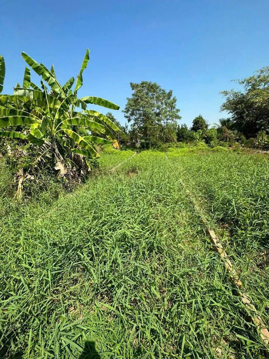 Bán đất thổ cư 103.6m² view sông tại Cần Giờ - Ảnh thu nhỏ 2