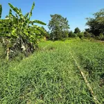 Bán đất thổ cư 103.6m² view sông tại Cần Giờ - Ảnh thu nhỏ 2