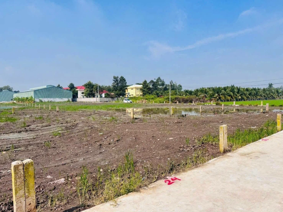 Bán đất Đức Tân (Vàm Cỏ) 57-150m² giá 250-550 triệu - Ảnh thu nhỏ 4