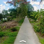 Bán đất thổ cư kèm vườn 809,9m2 gần cầu Bạch Ngưu, phường An Xuyên, Cà Mau - Ảnh thu nhỏ 4
