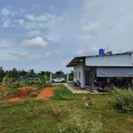 Bán lô đất vườn 1000m² có nhà 2PN, Thiện Nghiệp, 1.8 tỷ - Ảnh thu nhỏ 2