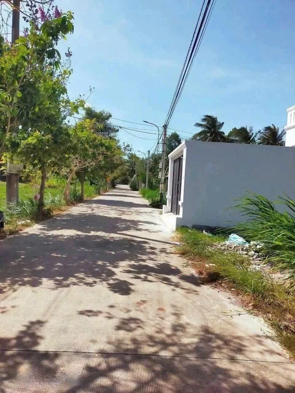 Bán nền mặt tiền Lộ Cầu Gừa, Bến Tre, 200m², 1 tỷ 456 triệu