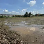 Bán 1000m² đất lúa Bến Lức Long An, mặt tiền kênh - Ảnh thu nhỏ 2