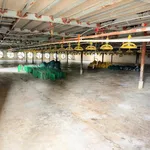 Bán trang trại gà 2 tầng + nhà kiên cố 5000m2 Đồng Tâm Yên Thế - Ảnh thu nhỏ 1