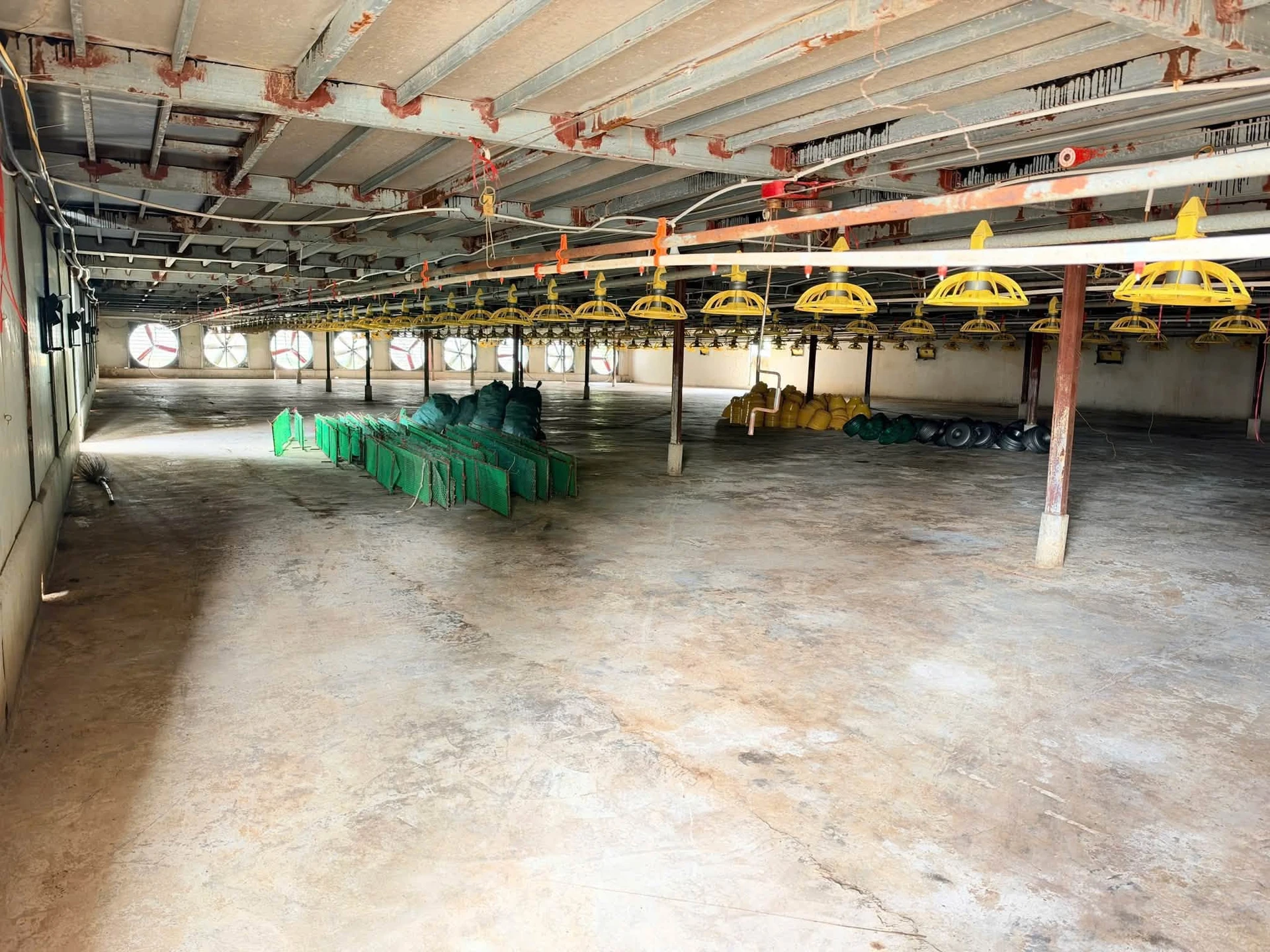 Bán trang trại gà 2 tầng + nhà kiên cố 5000m2 Đồng Tâm Yên Thế - Ảnh 1