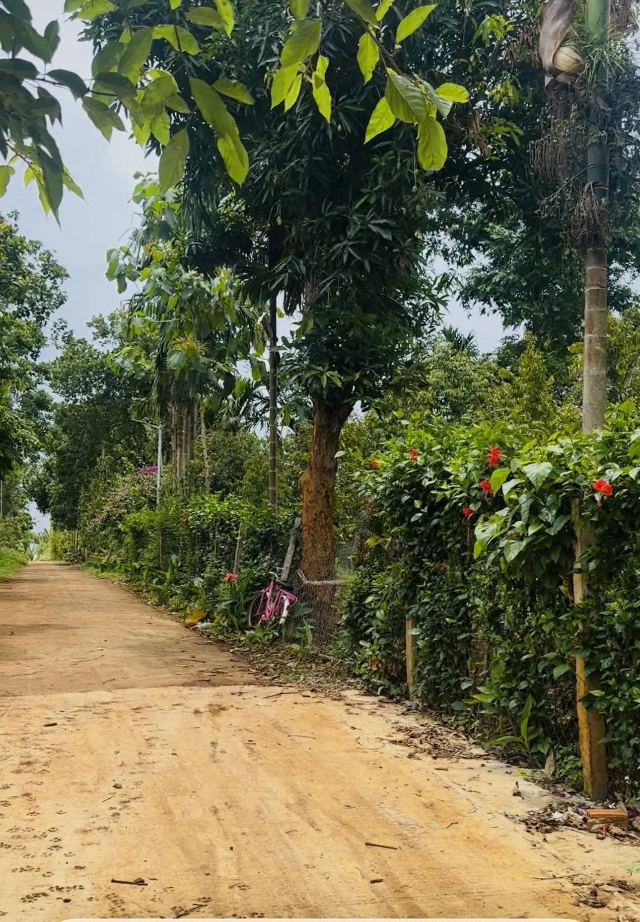 Bán đất Ea Kao, Đắk Lắk 600m² view hồ 480 triệu - Ảnh 1