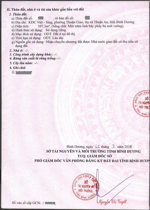 Bán đất 107,3m2 KDC Việt Sing Thuận An 4 tỷ 5 - Ảnh thu nhỏ 5