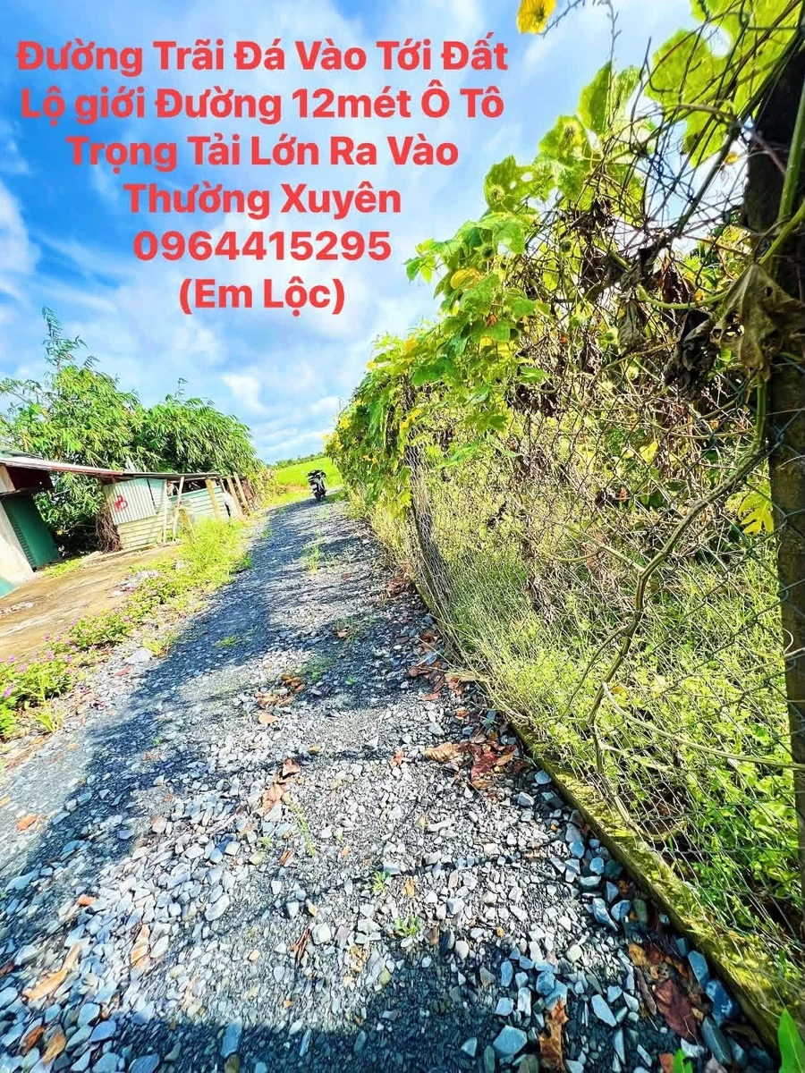 Bán 10.844m2 đất Tây Ninh, gần 1 mẫu, giá 2 tỷ 200 triệu - Ảnh thu nhỏ 3