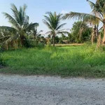 Bán đất 1240m² mặt tiền đường đá xanh, An Thạnh, Tây Ninh, 1 tỷ 800 - Ảnh thu nhỏ 5