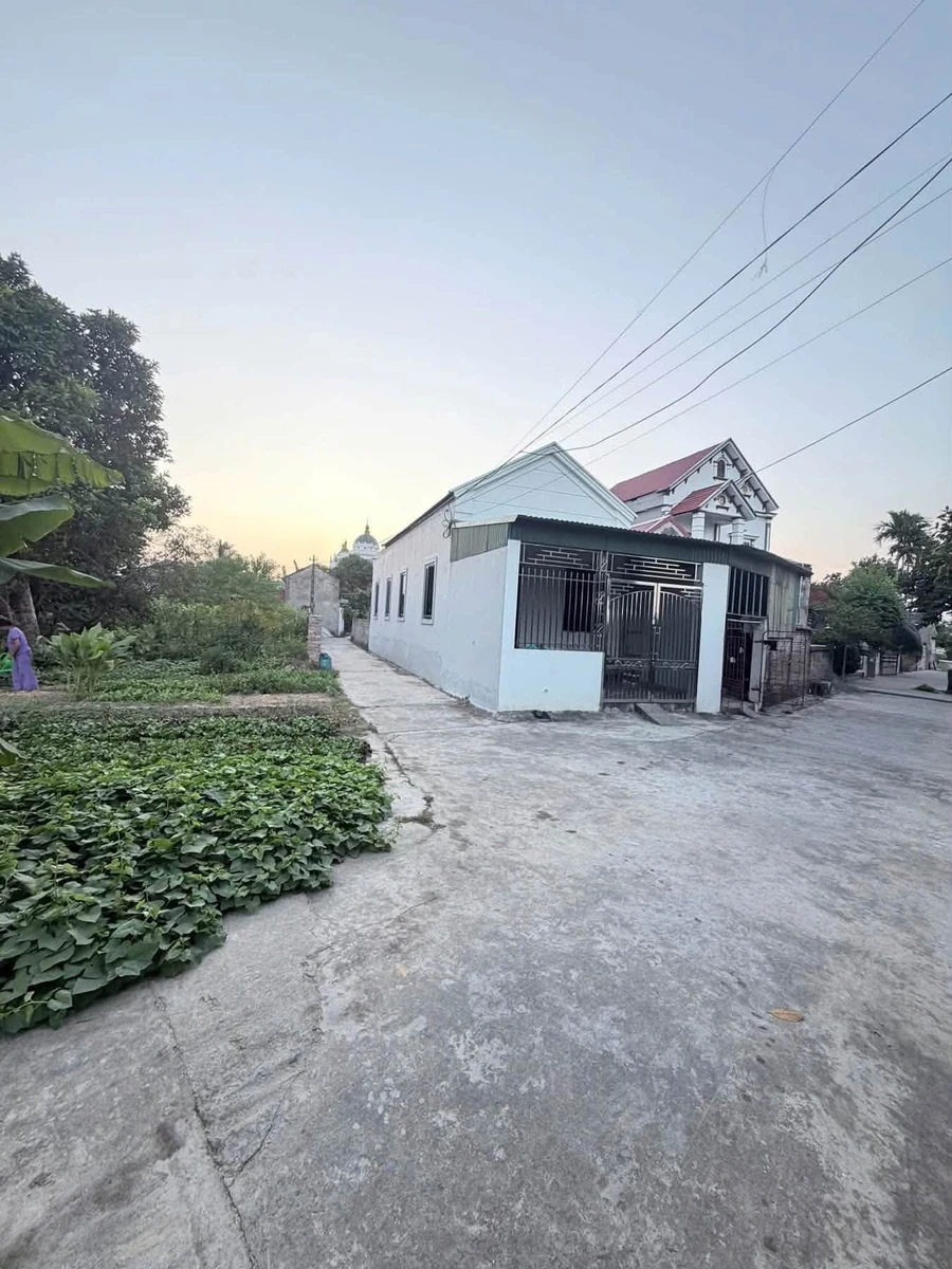 Bán đất 245m² Thanh Miện Hà Đông 1 tỷ 2 - Ảnh thu nhỏ 4