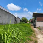 Bán đất mặt tiền QL62 250m2 gần Chợ Bắc Đông - Ảnh thu nhỏ 2