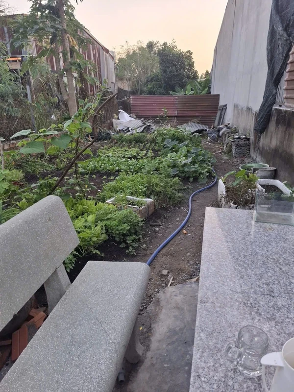 Bán đất 147.5m² sổ hồng riêng Cây Tràm Trảng Dài giá 1 tỷ 750