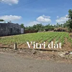 Bán biệt thự 443m2 gần Quốc Lộ 56 giá 1 tỷ 200 triệu Hóc Môn - Ảnh thu nhỏ 3