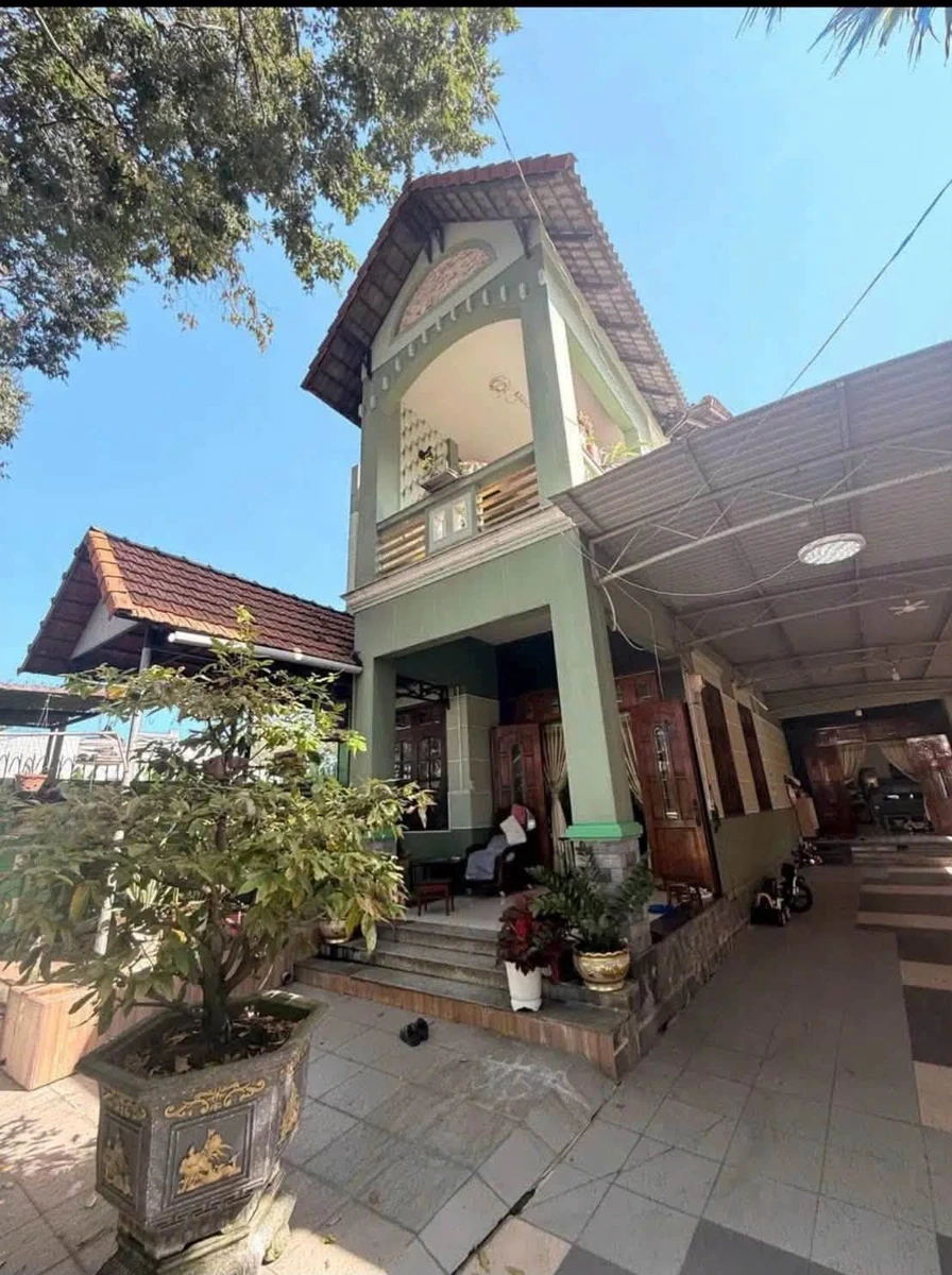 Bán đất Chánh Nghĩa 347.6m² mặt tiền Nguyễn Tri Phương - Ảnh thu nhỏ 2