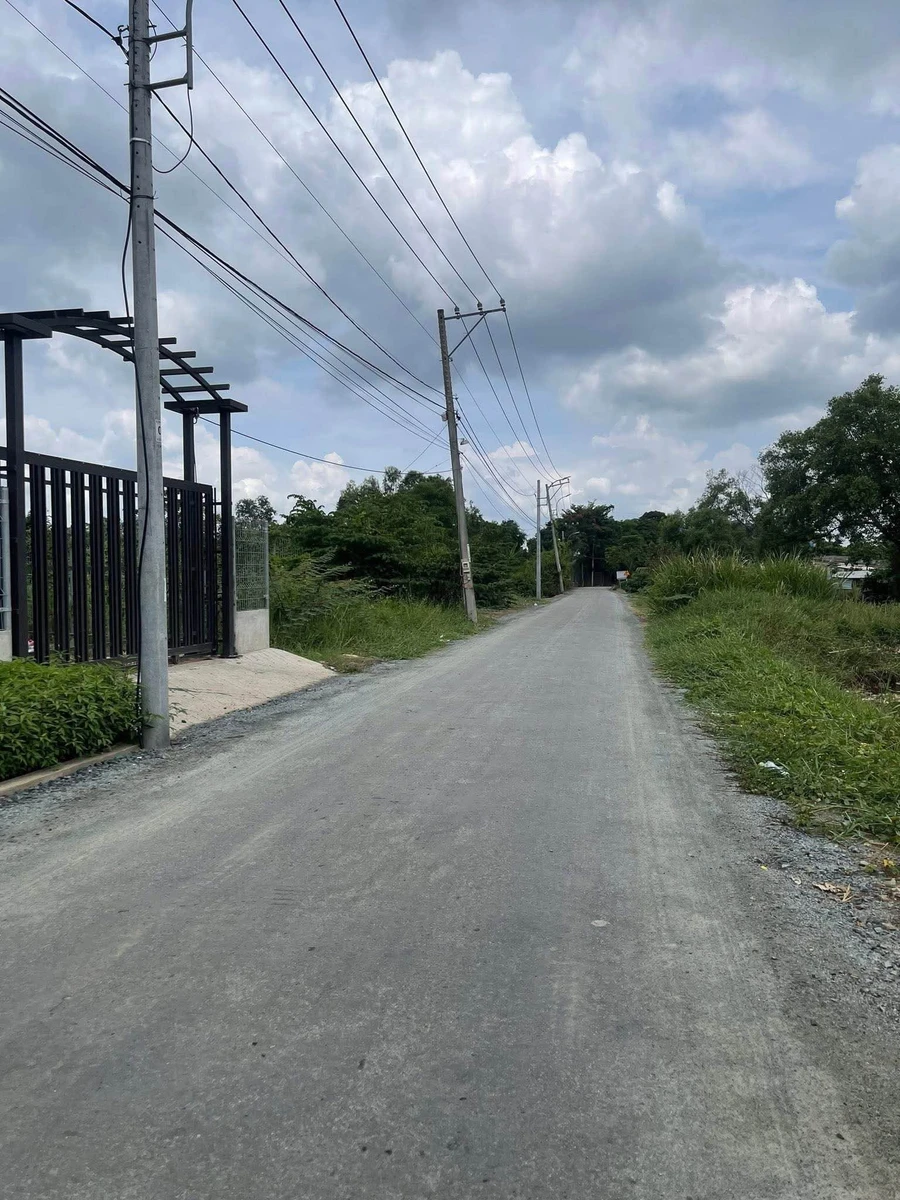 Bán 1300m² đất trồng cây Bình Hưng Bình Chánh 8,5 tỷ - Ảnh thu nhỏ 3