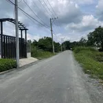 Bán 1300m² đất trồng cây Bình Hưng Bình Chánh 8,5 tỷ - Ảnh thu nhỏ 3
