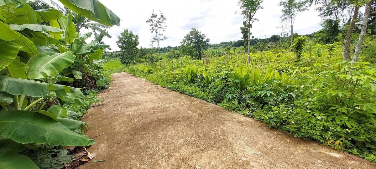 Bán đất 5x25m Hòa Xuân, hẻm cấp 1 Phan Huy Chú, giá 525 triệu/lô, mua sỉ 4 lô giá tốt - Ảnh 1