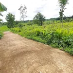 Bán đất 5x25m Hòa Xuân, hẻm cấp 1 Phan Huy Chú, giá 525 triệu/lô, mua sỉ 4 lô giá tốt - Ảnh thu nhỏ 1