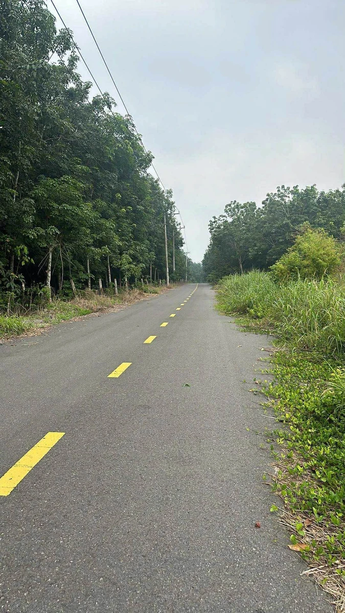 Bán đất Lai Uyên Bầu Bàng 10.600m2 hai mặt tiền 14 tỷ - Ảnh 1