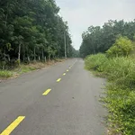 Bán đất Lai Uyên Bầu Bàng 10.600m2 hai mặt tiền 14 tỷ - Ảnh thu nhỏ 1