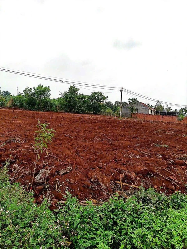 Bán đất Phú Xuân Krong Năng Đắk Lắk 79m2