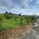 Bán đất thổ cư Hàm Cương 250m2, 395 triệu, Bình Thuận - Ảnh thu nhỏ 4