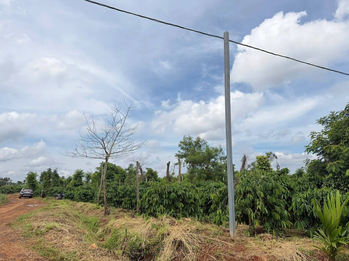 Bán đất rẫy Lâm Đồng 11000 m² giá 1,85 tỷ - Ảnh thu nhỏ 2