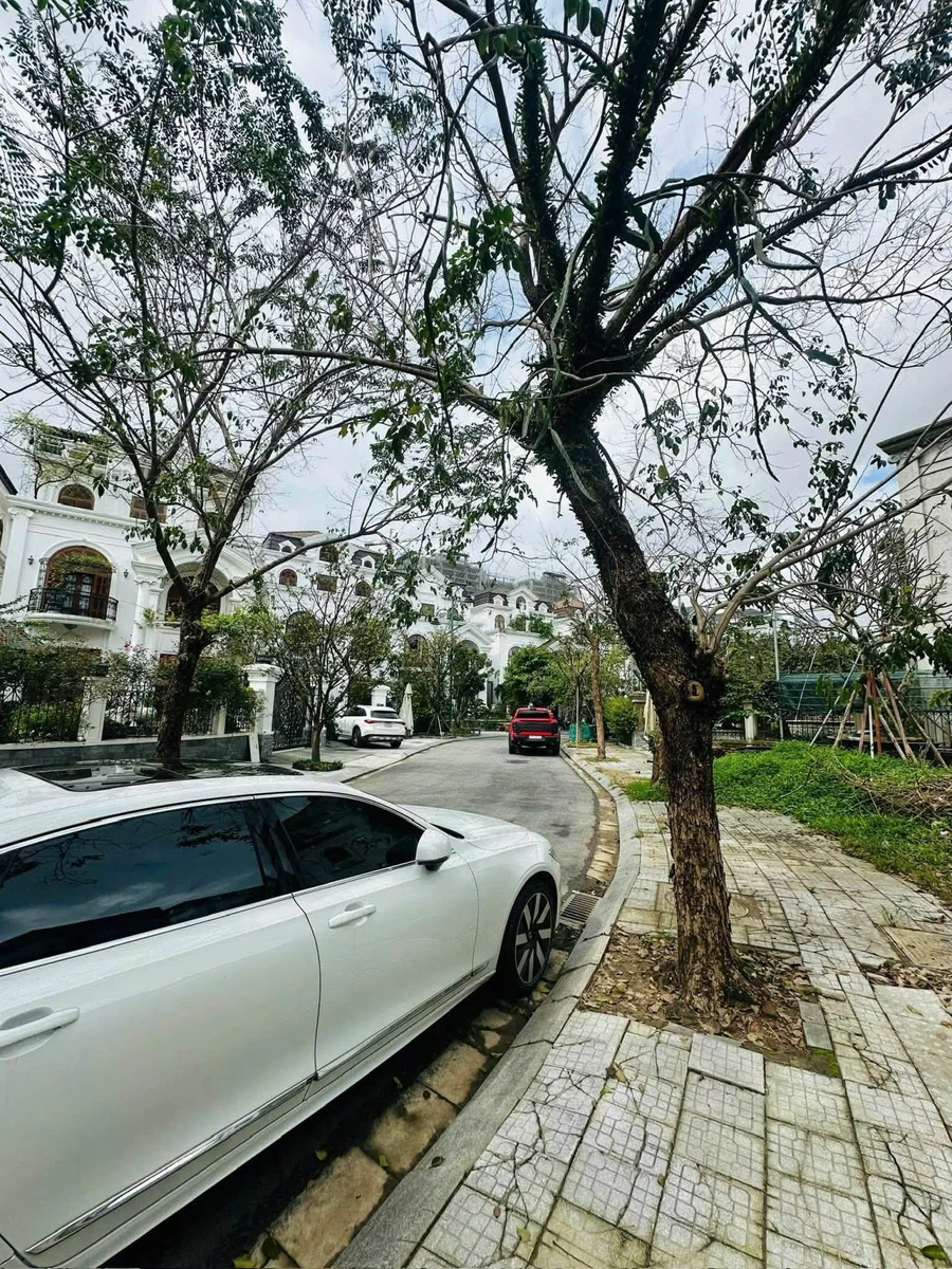 Bán biệt thự sân vườn 250m2 Phú Mỹ An Huế - Ảnh thu nhỏ 3