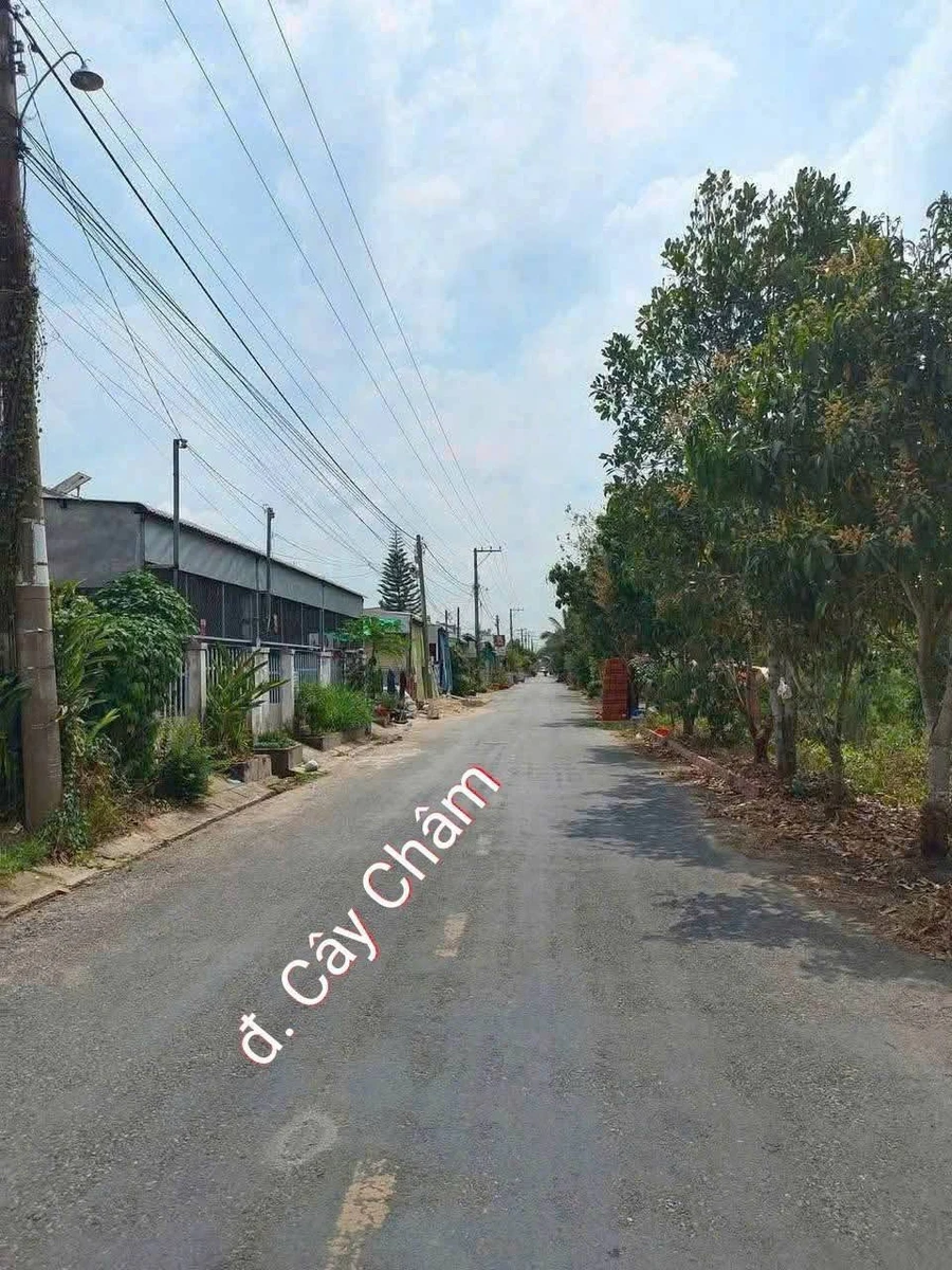 Bán nhà cấp 4 diện tích 5x14m giá 830 triệu đường Cây Châm, Vĩnh Tế, Châu Đốc, An Giang - Ảnh thu nhỏ 4