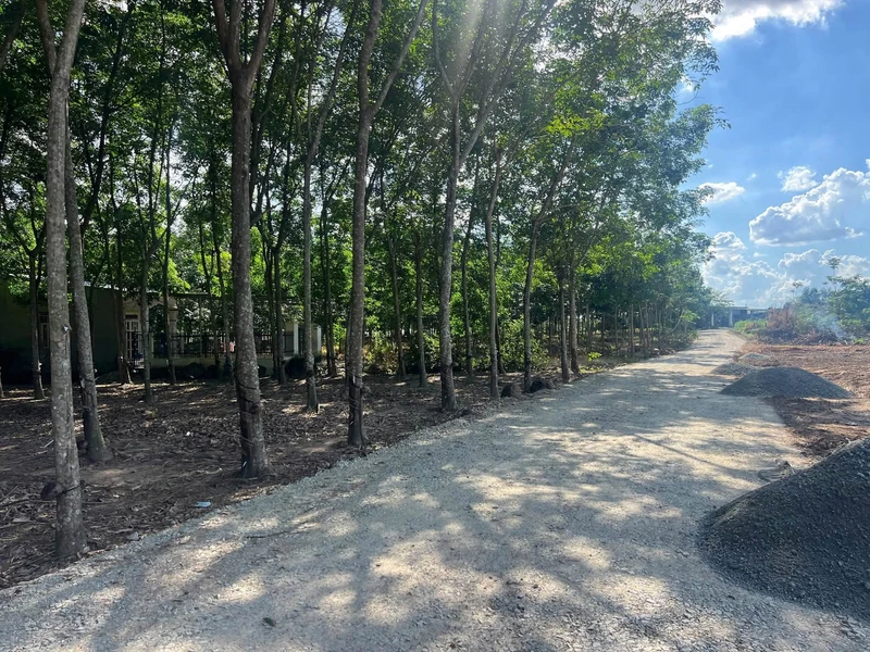 Bán nhà 177m² 3 phòng ngủ Phan Thiết Lâm Đồng 3.7 tỷ 3170