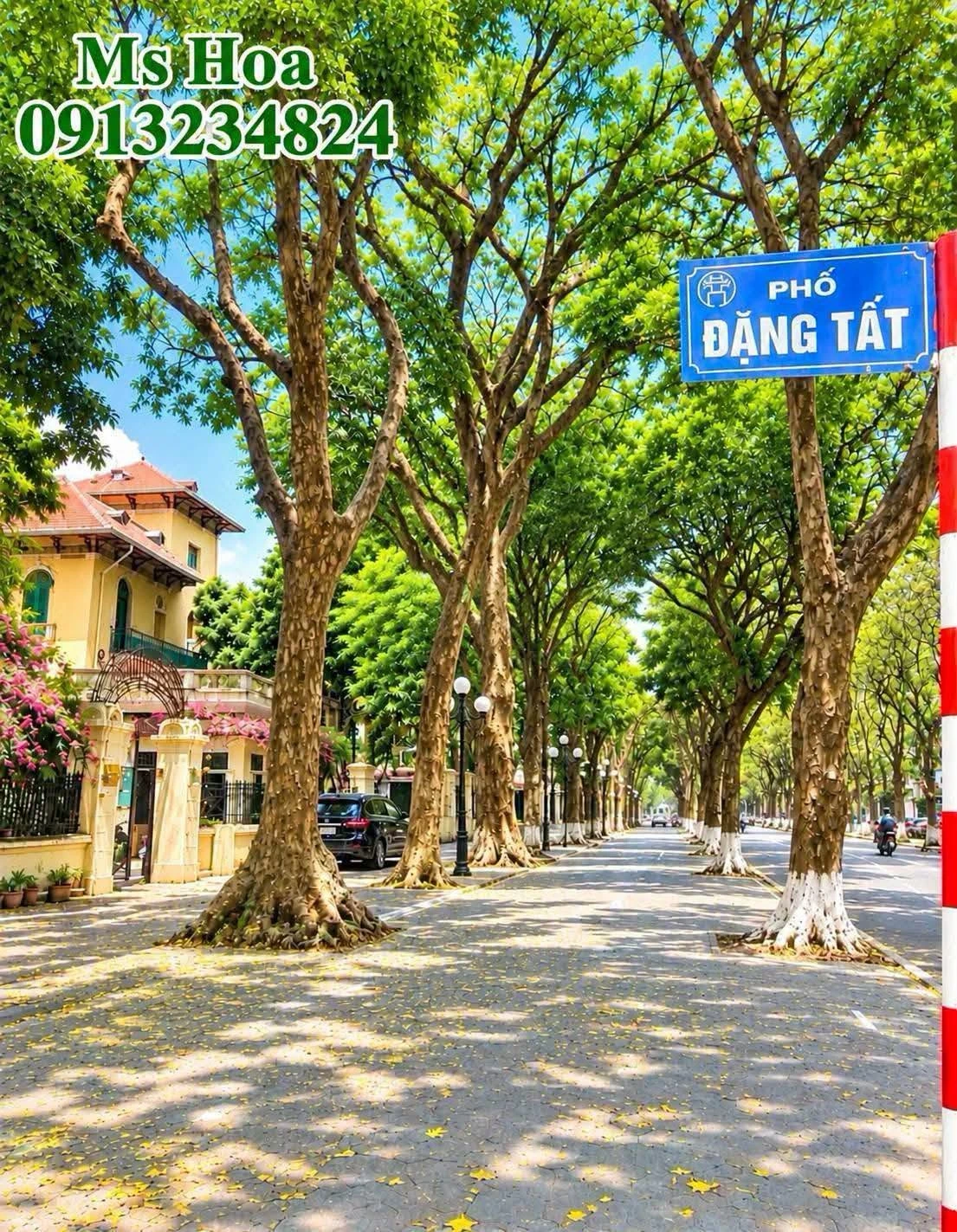 Bán nhà mặt phố Đặng Tất Phố Ba Đình 75m 4 tầng 27,5 tỷ - Ảnh 1