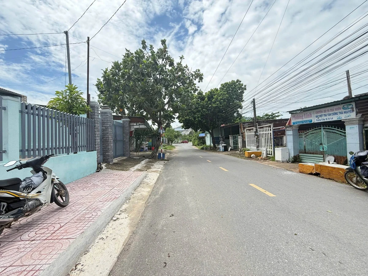 Bán lô đất Việt Kiều Phú Mỹ 800m² giá 5 tỷ - Ảnh thu nhỏ 2