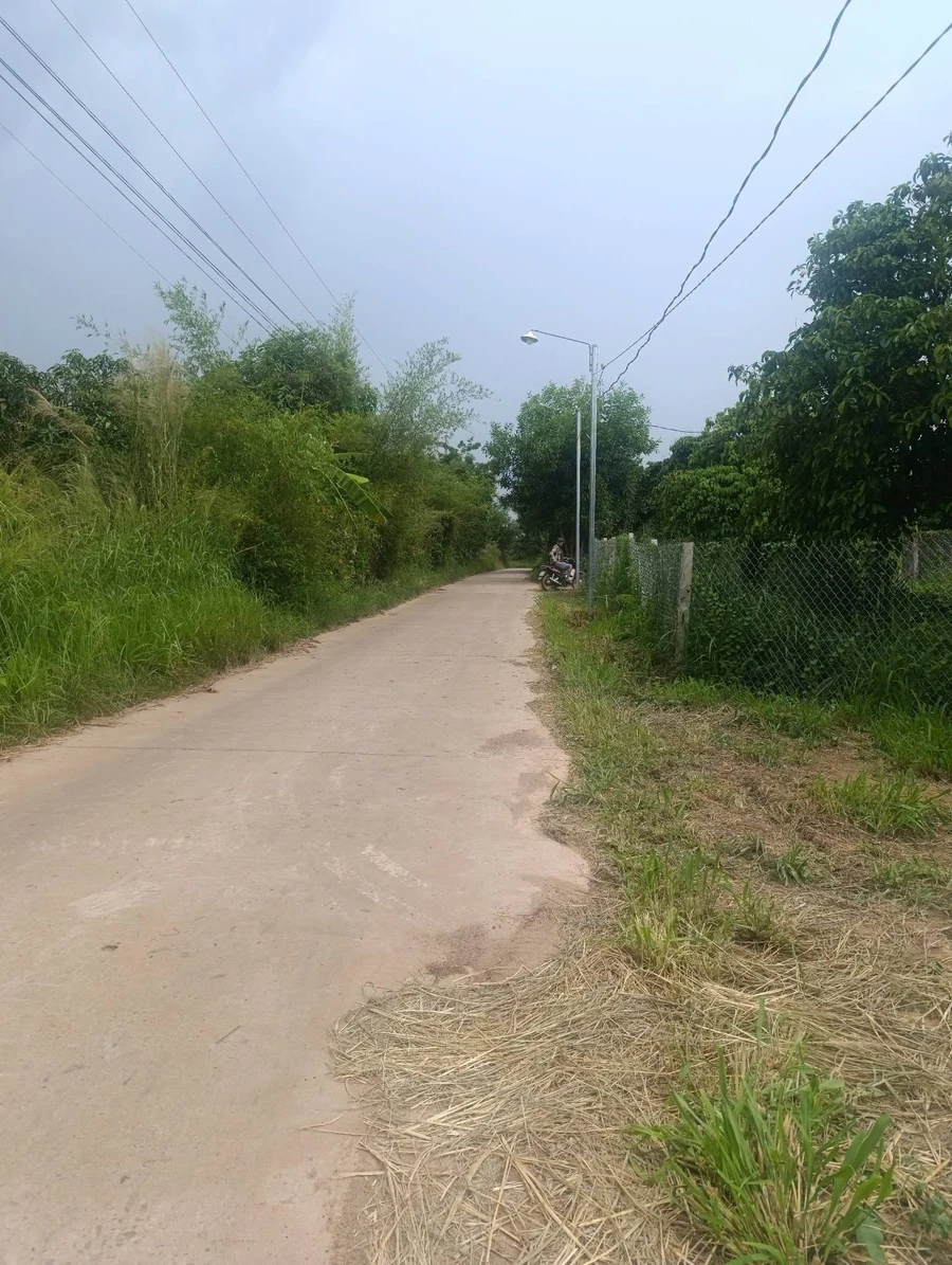 Bán 1.3ha đất vườn xoài Hồ Trị An Đồng Nai sổ riêng - Ảnh thu nhỏ 3
