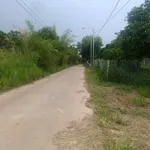 Bán 1.3ha đất vườn xoài Hồ Trị An Đồng Nai sổ riêng - Ảnh thu nhỏ 3