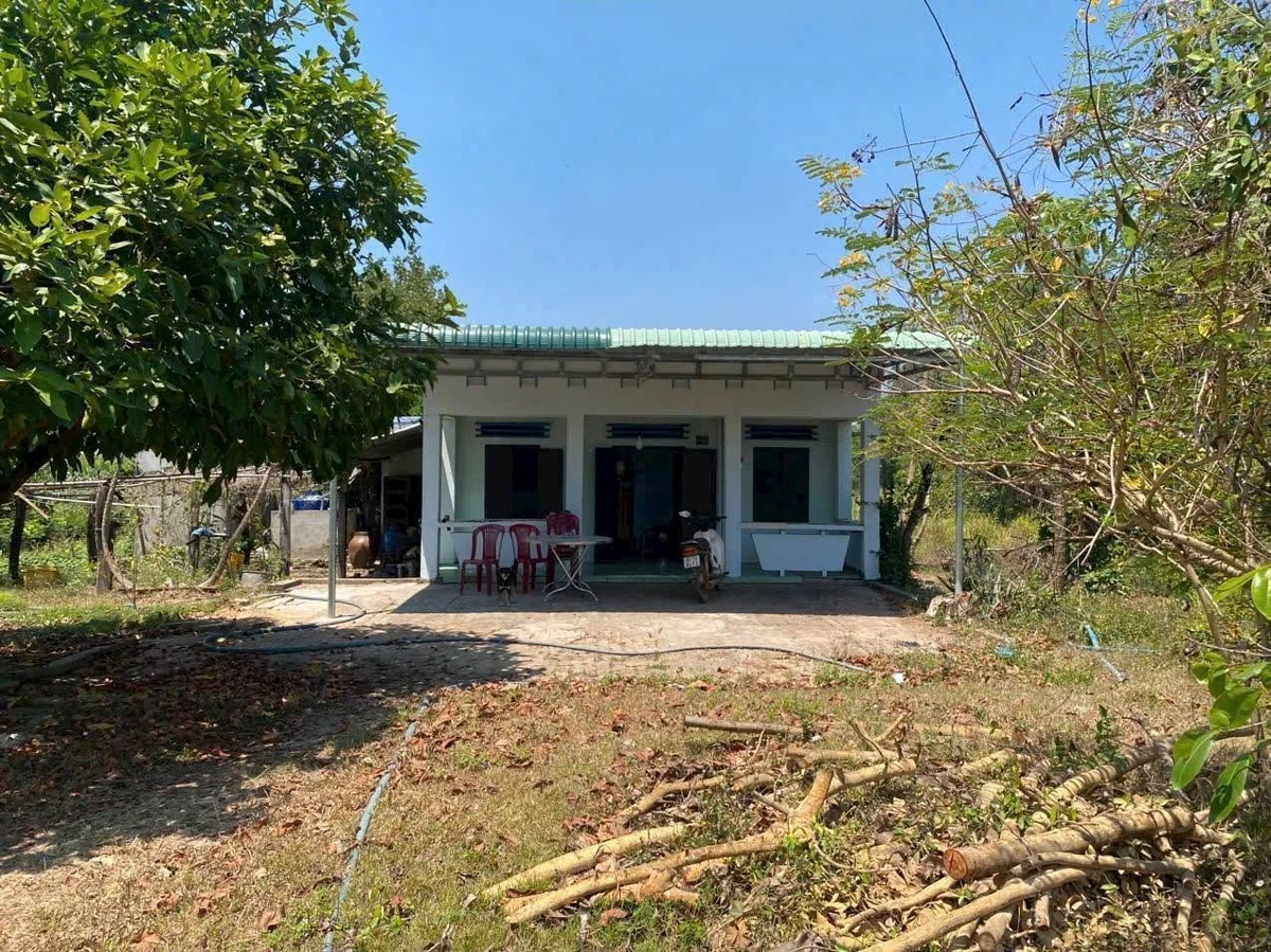 Bán đất 2.000m² (600m² thổ cư) Hàm Thạnh, Lâm Đồng - Ảnh thu nhỏ 4